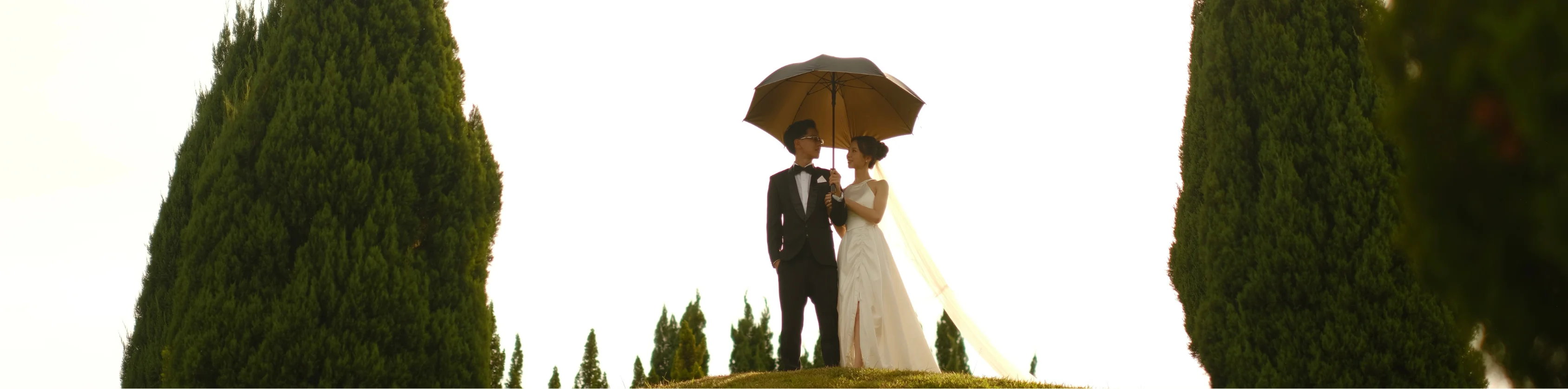 The Wedding of David & sofie