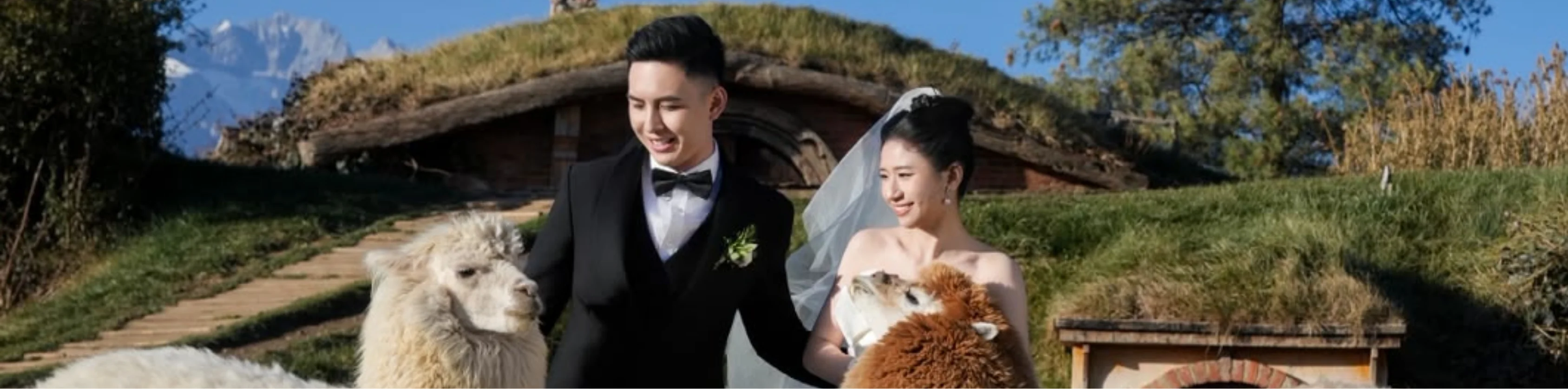 The Wedding of You Xian & Ting Mei